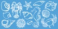 Set of crab, sea horse, cancer, seashell, sea urchin, starfish. Sketch vector. Royalty Free Stock Photo