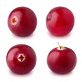 Set of cranberries isolated on a white.