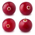 Set of cranberries isolated on a white.