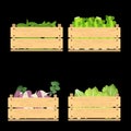 Set of crates with veggies