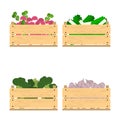 Set of crates with veggies