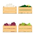 Set of crates with veggies