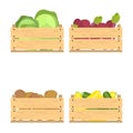 Set of crates with veggies
