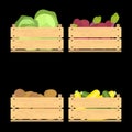 Set of crates with veggies