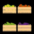 Set of crates with veggies