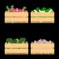 Set of crates with veggies