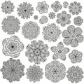 Set of creative flowers for your design. Romantic floral patterns. Black and white colors.