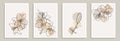 Set of creative minimalist hand draw illustrations floral outline lily pastel biege simple shape for wall decoration, postcard or