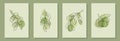 Set of creative minimalist hand draw illustrations floral outline olive pastel green simple shape for wall decoration, postcard or