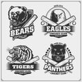 Set of cricket badges, labels and design elements. Sport club emblems with grizzly bear, panther, coyote and eagle. Royalty Free Stock Photo