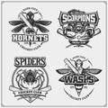 Set of cricket badges, labels and design elements. Sport club emblems with scorpion, wasp, hornet and spider.