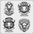 Set of cricket club emblems, labels, badges and design elements with bison, bull and ram.