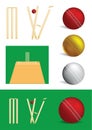 Set of cricket game objects Royalty Free Stock Photo