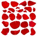 A set of crimson rose petals.