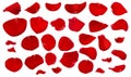 A set of crimson rose petals. Royalty Free Stock Photo