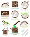 Set a cross section of the trunk with tree rings. Vector. Logo. flat icon. Royalty Free Stock Photo