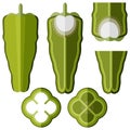 Set of Cubanelle peppers. Flat style. Vector illustration.