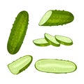 Set of cucumber. Vector illustration on white background. Royalty Free Stock Photo