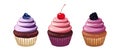 A set of cupcakes.Blueberry, blackberry, cherry cupcakes.Design elements, menus, advertisements.