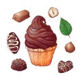 Set of cupcakes chocolates end nuts, hand drawing. Vector