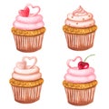 Set of cupcakes with cream and cherry. Hand drawn watercolor illustration. Muffins for cafe and pastry shop