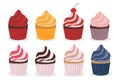 Set of cupcakes of different colors and flavors vector illustration holiday sweets