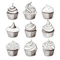 Set of cupcakes, pencil illustration in black and white. Cupcake assortment monochrome sketch on white background for design, menu