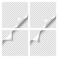 Set of Curly Page Corner. Blank sheet of paper with page curl with transparent shadow. Realistic vector illustration
