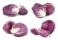 Set with cut fresh red cabbages Royalty Free Stock Photo