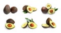 Set of cut and whole avocados on background, banner design