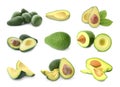 Set of cut and whole avocados on background