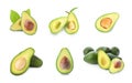Set of cut and whole avocados on background