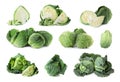 Set of cut and whole Savoy cabbages on background