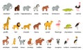 Set of cute African animals with names in cartoon style on white background. Royalty Free Stock Photo