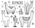 Set of cute Alpaca Llamas or wild guanaco on the background of Cactus. Funny smiling animals in Peru for cards, posters