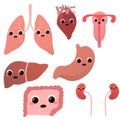 Set of cute anatomical mascot for surgery or medcine - lungs, heart, liver, stomach, internal organs