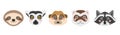 A set of cute animal faces. Sloth  lemur  meerkat  ferret and raccoon. Vector flat image on a white background Royalty Free Stock Photo