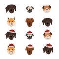 Set of cute animal heads. Dogs faces in Christmas winter hats. Labrador retriever, poodle puppy, bulldog, akita inu, pug. Vector