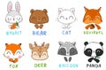 Set of cute animals Cat and squirrel, panda bear, rabbit and fox, raccoon and deer Vector illustration