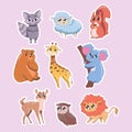 Set of cute animals isolated on pink background. Wildlife animals vector illustration Royalty Free Stock Photo