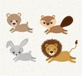 Set cute animals wildlife icon