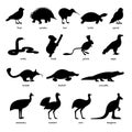 Set of cute Australian Animals and Birds Silhouettes Royalty Free Stock Photo