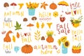 Set of cute autumn cartoon characters, plants and food.