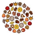 Set of cute autumn elements doodles in a wreath. Fall festival banner