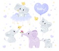 Set of cute baby elephants Royalty Free Stock Photo