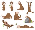 Set of Cute baby sloth. Adorable cartoon animals. Funny cartoon sloths in different poses. Cute lazy character vector Royalty Free Stock Photo