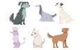 Set of cute big and small dogs breeds vector illustration Royalty Free Stock Photo