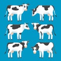 Set of cute black and white spotted cows isolated on blue background