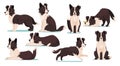 Set of cute Border Collie dog breed icons isolated on white background