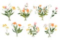 Set of cute bouquets of meadow flowers isolated on white background. Vector graphics